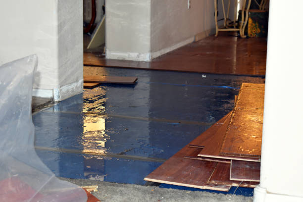 Professional Water Damage Restoration technician working in Vaughn, WA